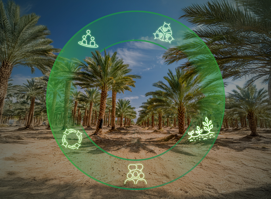 المشتريات المجتمعية والمحلية