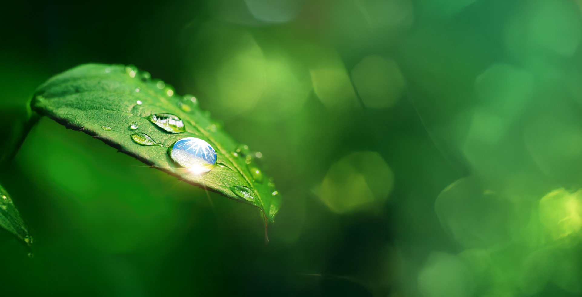 ADIBs 2024 Sustainability Report