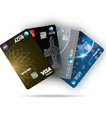 Visa Card