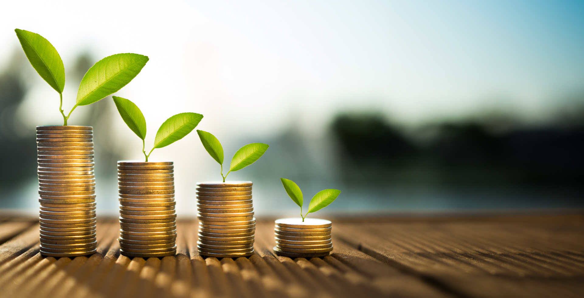 حساب التوفير