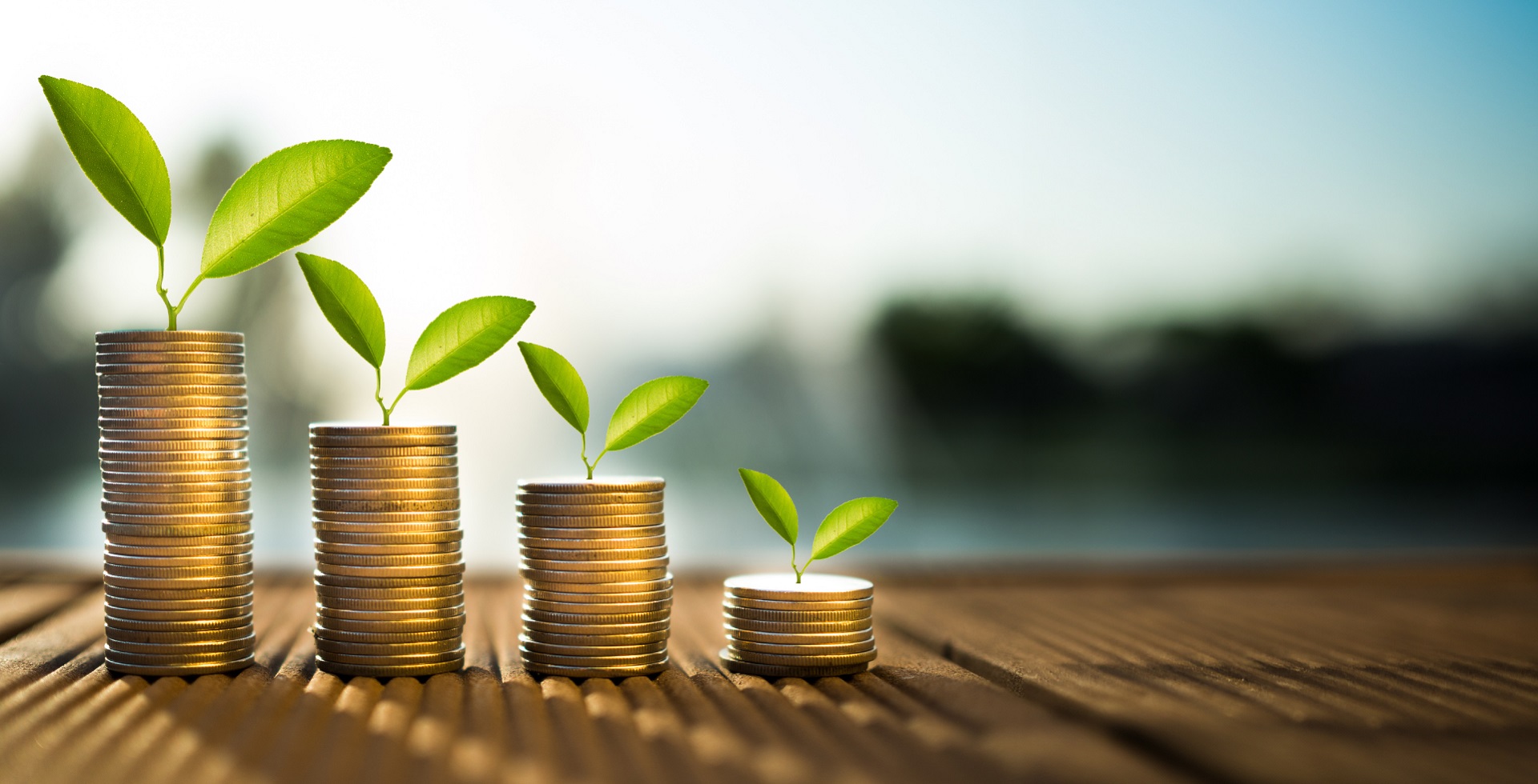 Savings Account