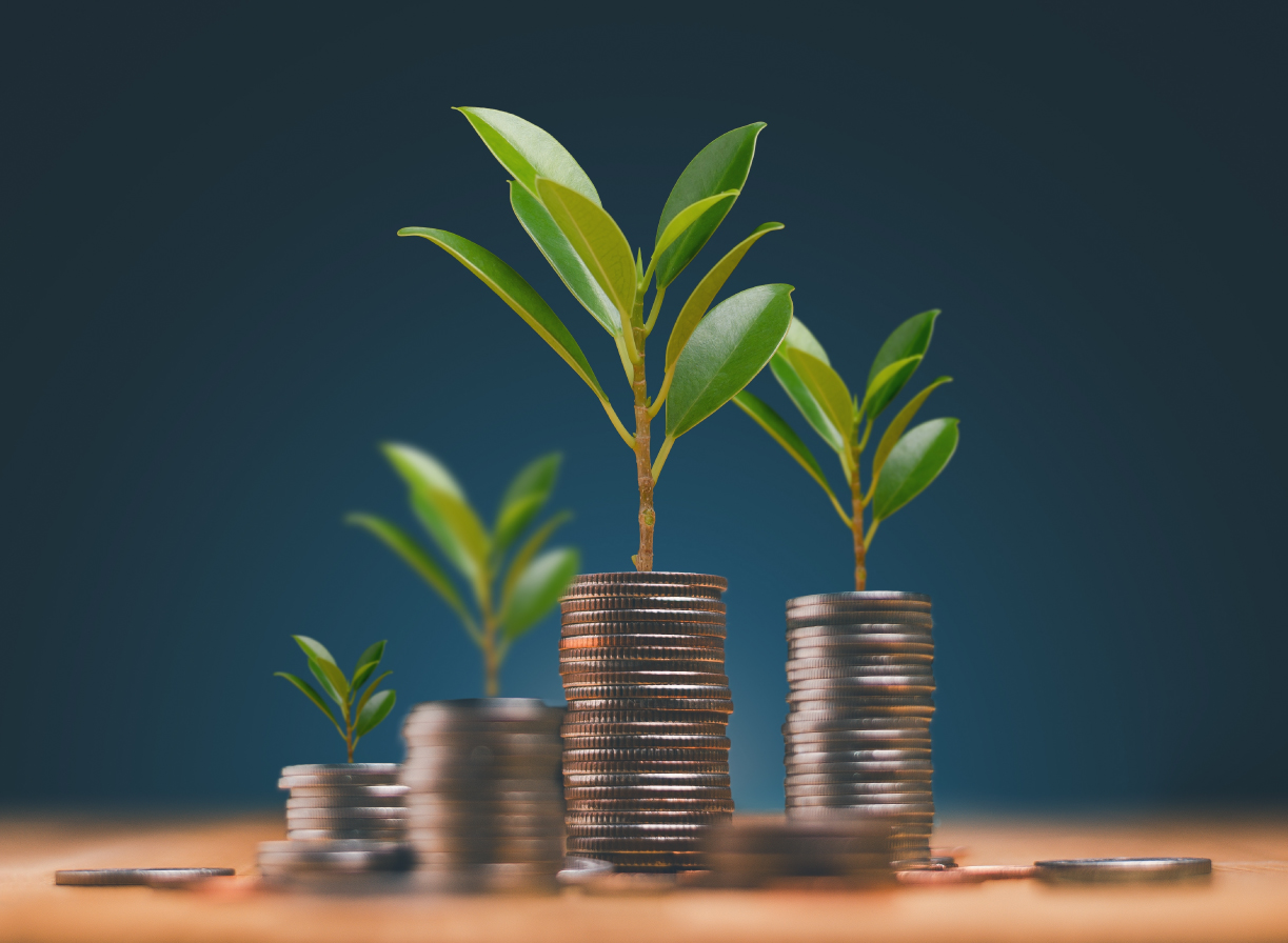 التخطيط للإدخار